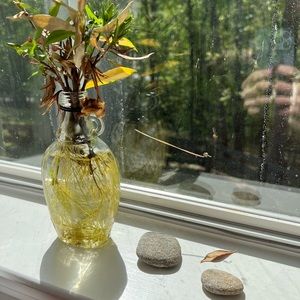 Meet your Posher, Isabelle